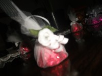 /album/galeria-de-fotos/imagem-167-jpg/